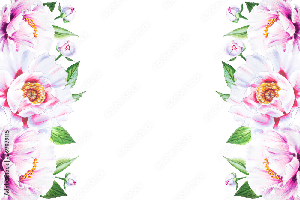 Fototapeta premium Beautiful white peony frame. Bouquet of flowers. Floral print. Marker drawing. Watercolor painting. Wedding and birthday composition. Greeting card. Flower painted background. Hand drawn illustration.