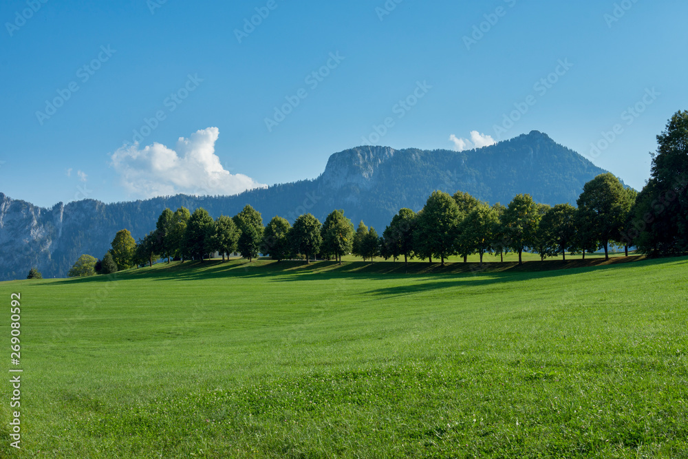 Fototapeta premium landscape in the mountains