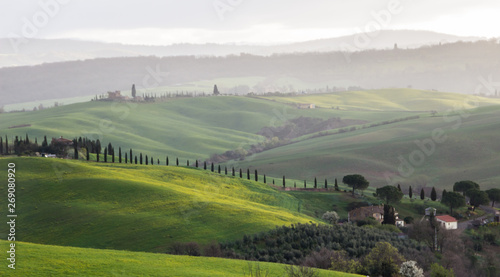 hills and green fields of Val d'Orcia in Tuscany