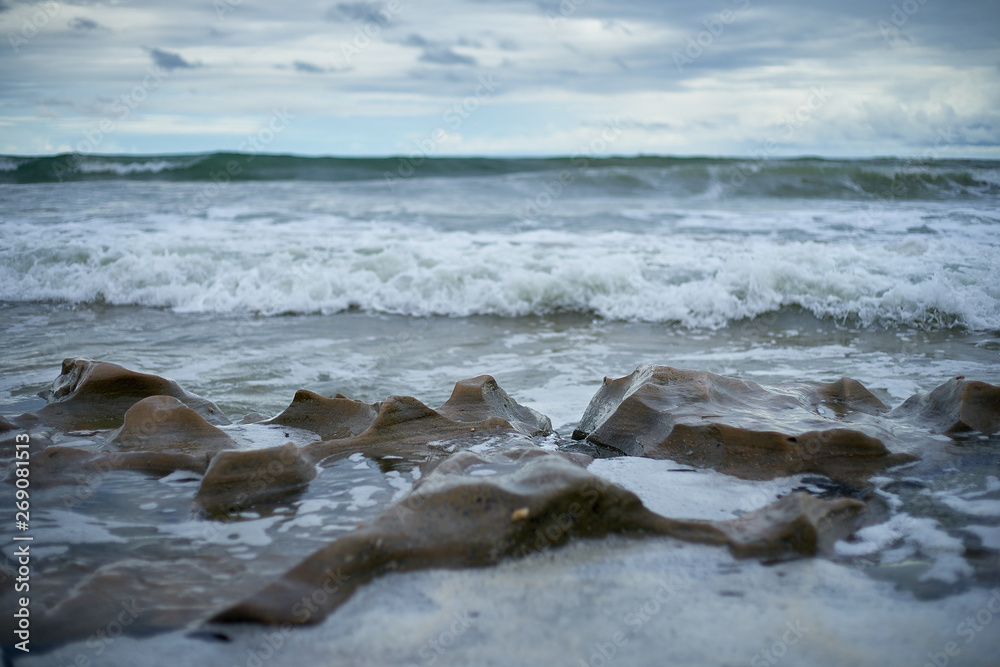 Fototapeta premium www.ivanrafreitas.com