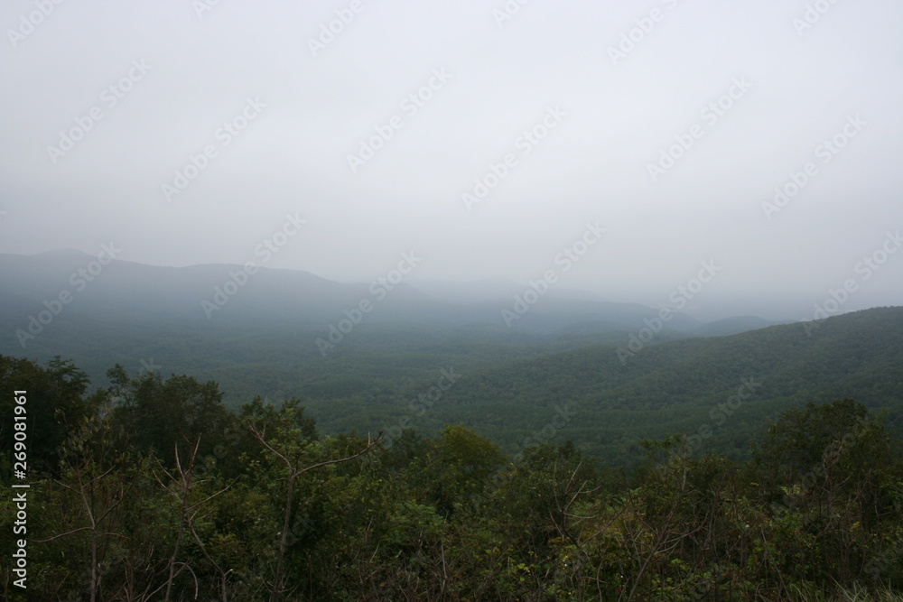 nature nature