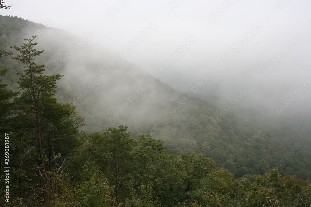 nature nature