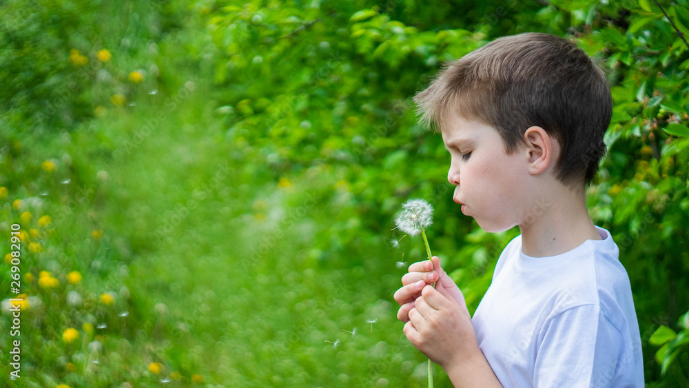 kid in the meadow blowing wishes on dandelion seed kid in the meadow blowing wishes on dandelion seed
