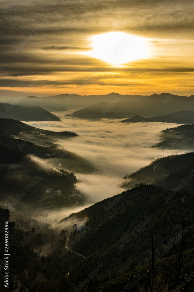 sunrise in the mountains with fog