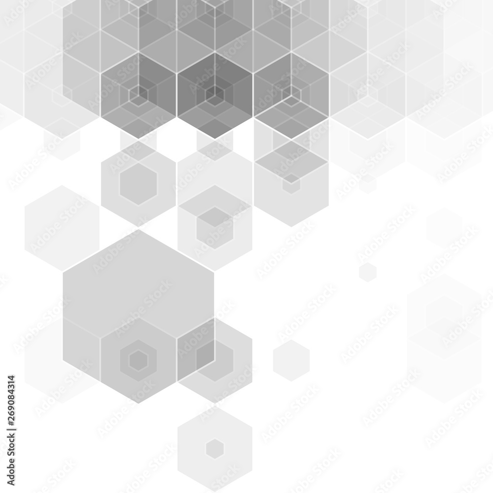 gray hexagon background. layout for advertising. template for presentation. banner polygonal style. eps 10