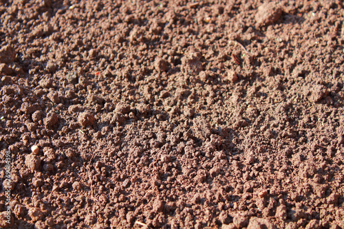 Brown dry soil. Close-up. Background. Texture.