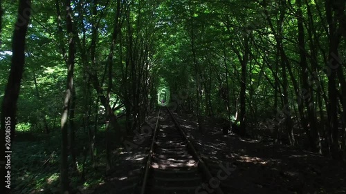 Aerial. Natural tunnel of green trees better known as the tunnel of love. 4K photo