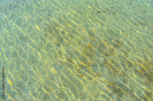 texture of surface of water