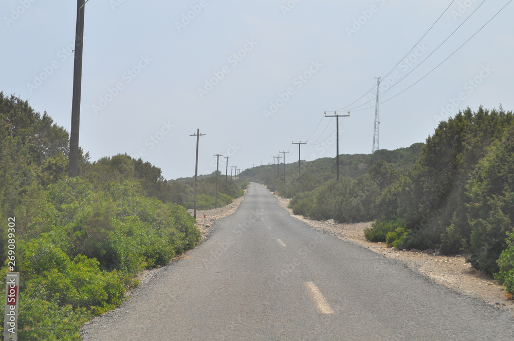 Fototapeta premium The beautiful landscape road