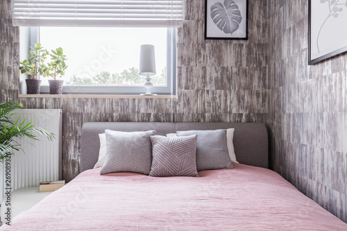 Patterned cushions on pink bed in bright bedroom interior with plants, poster and window. Real photo