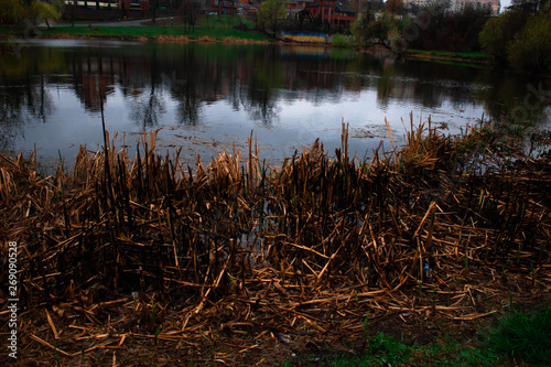 lake in autumn