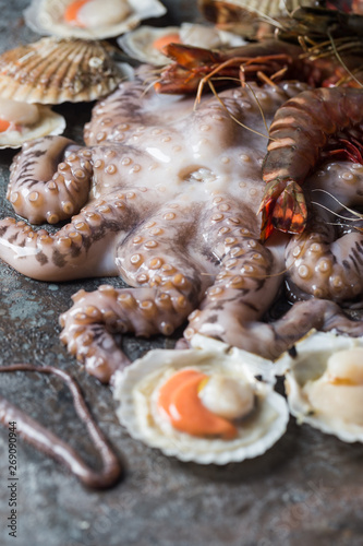 Assortment of seafood with raw fresh octopus, scallops and prawns, as an gourmet dinner background