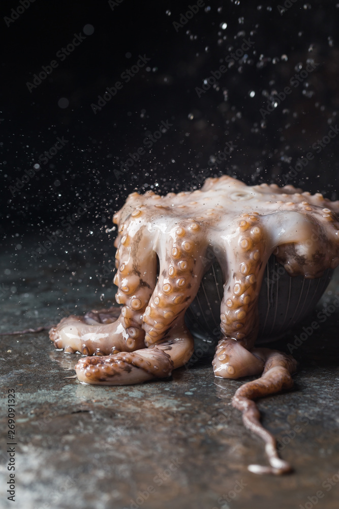 Fresh raw octopus in a bawl on dark stone background close up