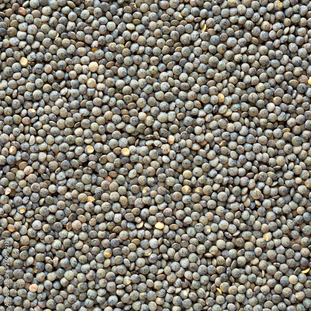 Dry green french lentils, top view. Close-up.