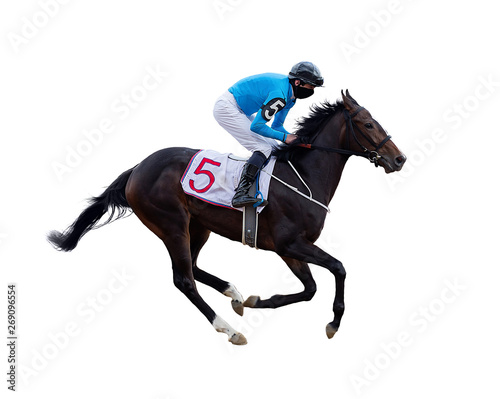 Fototapeta Naklejka Na Ścianę i Meble -  horse racing jockey isolated on white background