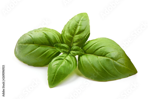 Fresh organic basil leaves, close-up, isolated on white background