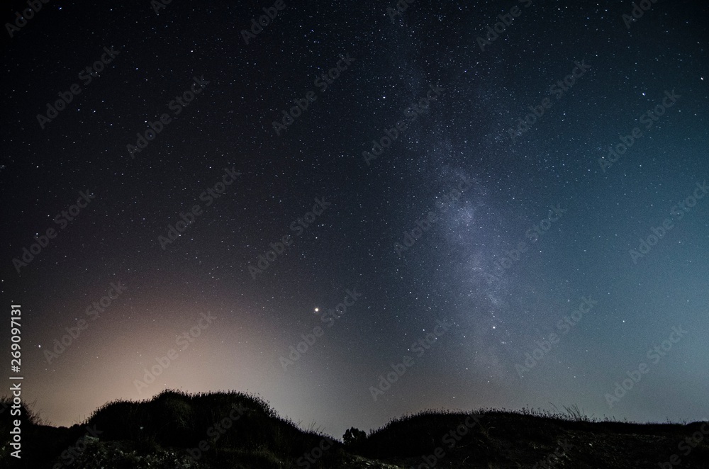 Starry night sky with the milky way seen from the coast with vegetation in the foreground