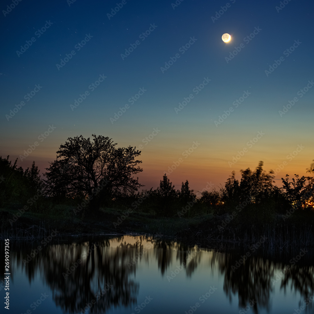 Night sky with the moon after sunset. Landscape with a tree by the lake. Night sky with the moon after sunset. Landscape with a tree by the lake.