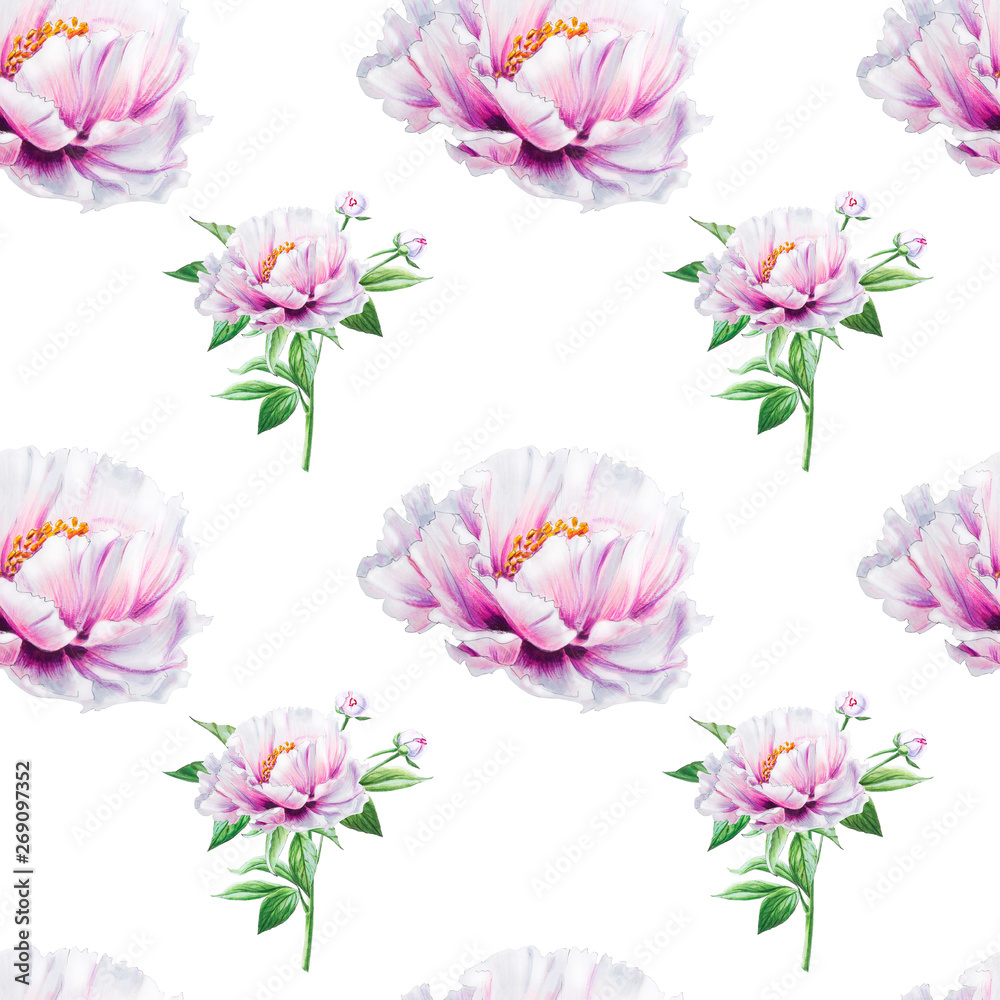 Seamless white peony pattern. Endless texture. Floral print. Marker drawing. Watercolor painting. Wedding and birthday composition. Greeting card. Flower painted background. Hand drawn illustration.
