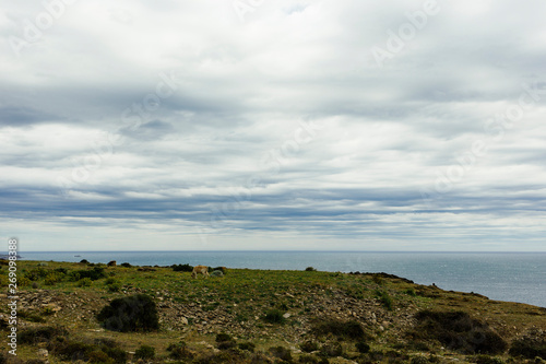 A cloudy day in Cadaqués