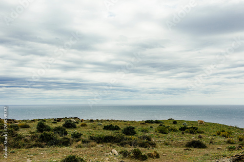 A cloudy day in Cadaqués