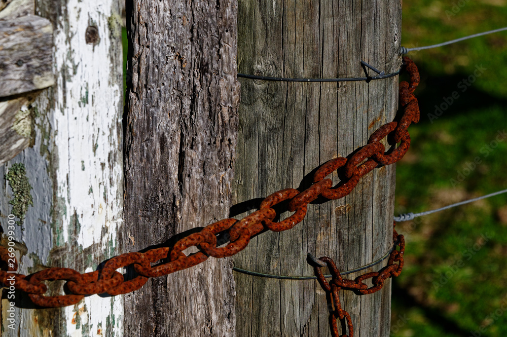 A rusty chain goes around a wooden post A rusty chain goes around a wooden post