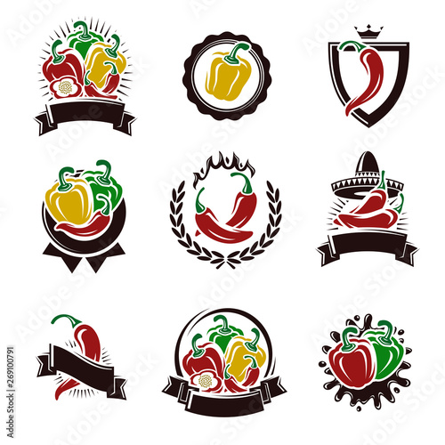 Chili and pepper labels elements set. Collection icon pepper. Vector