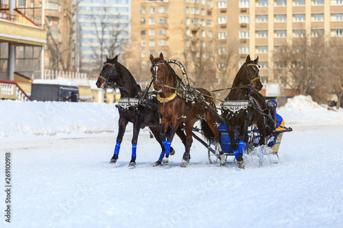 Russian Troika in winter at the racetrack