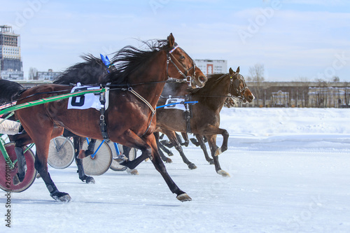 races in winter at the racetrack, horse racing jockey