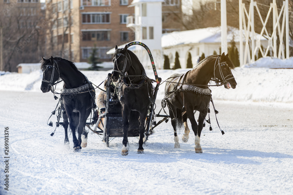 Russian Troika in winter at the racetrack Russian Troika in winter at the racetrack