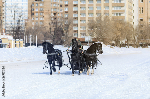 Russian Troika in winter at the racetrack © Dikkens