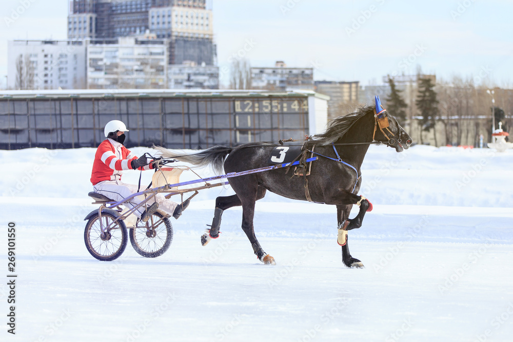 horse racing jockey, winter race trot on the racetrack horse racing jockey, winter race trot on the racetrack