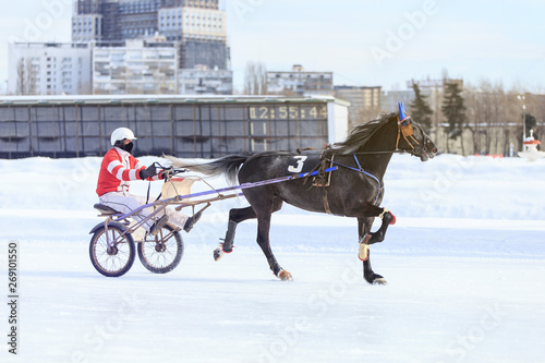 horse racing jockey, winter race trot on the racetrack