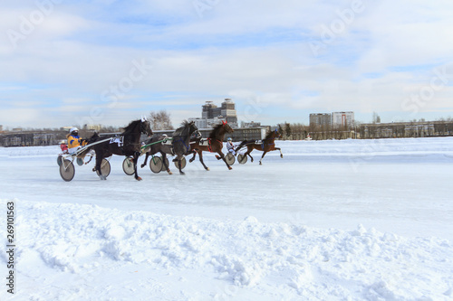 horse racing jockey, winter race trot on the racetrack