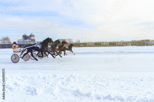 horse racing jockey, winter race trot on the racetrack © Dikkens
