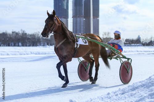 horse racing jockey, winter race trot on the racetrack