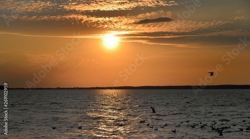 Steinhuder Meer