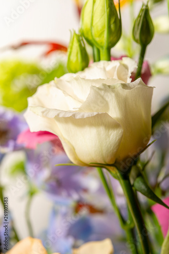 Floral background with colofrul fresh flowers in bouquet, macro photo close up