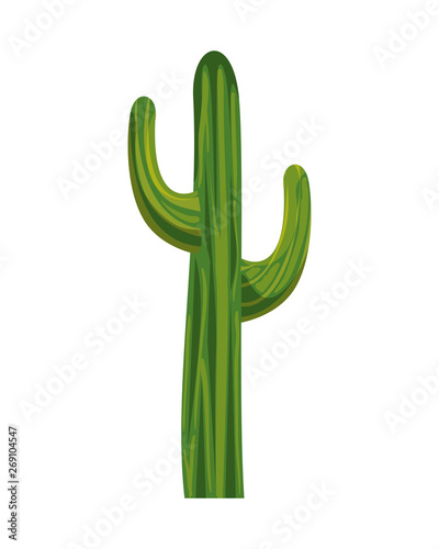 cactus plant isolated icon