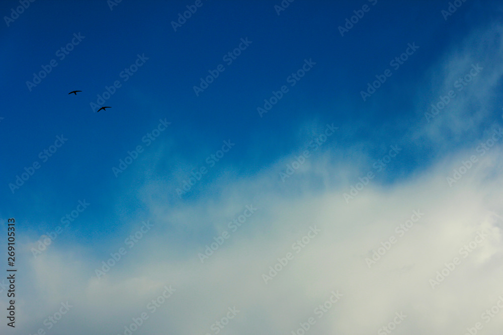 summer spring cloudy blue sky