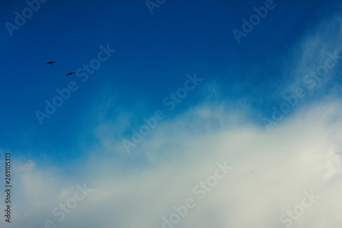 summer spring cloudy blue sky