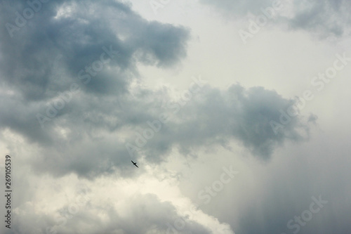 Storm clouds backgrounds © vladchudo