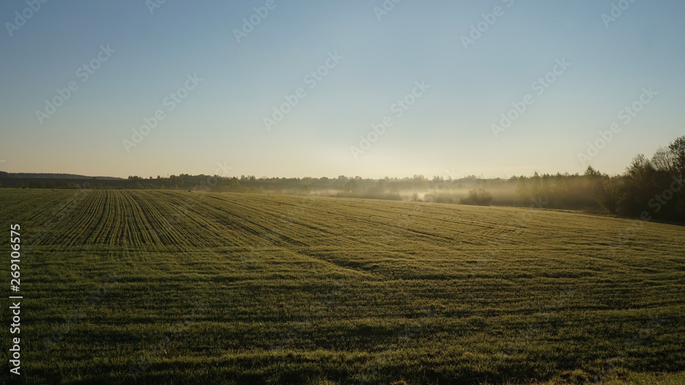 Art  landscape. field and morning fog