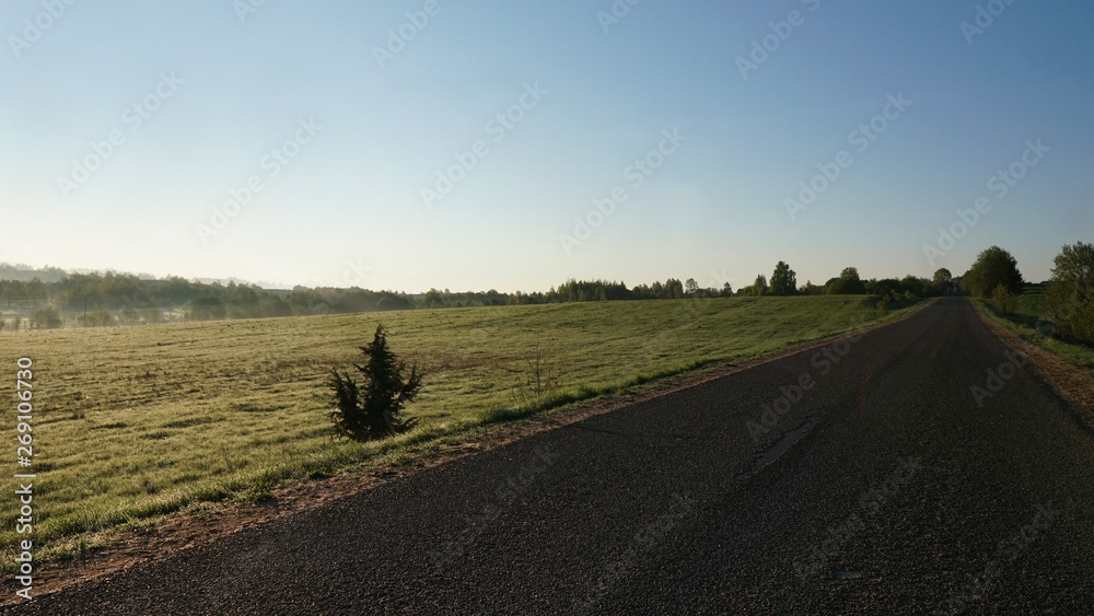 Fototapeta premium Summer beautiful road, blue sky, sun and trees.Inspirational landscape