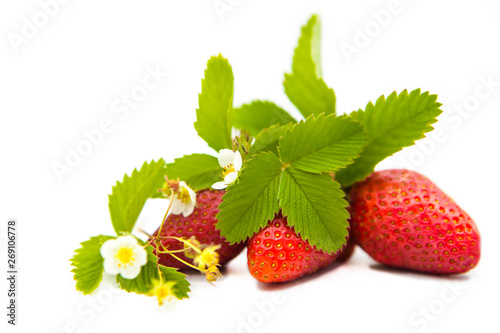 ripe fresh strawberries with leaves and flowers isolated on white background