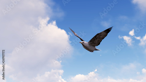 Bird at Sky background 3D Rendering