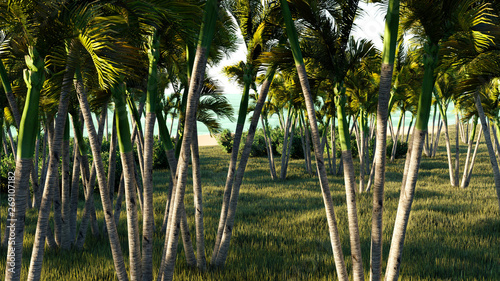 Seaside Palms Background 3D Rendering