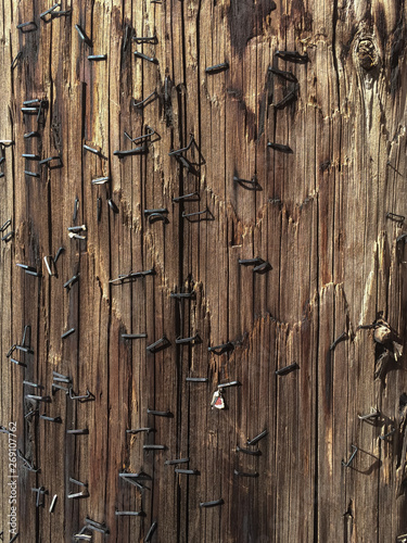 Close up pattern of staples in a power pole