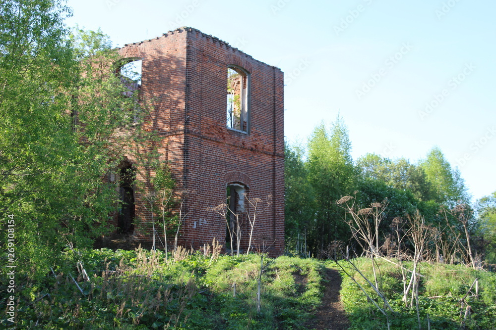 Abandoned red brick building, green trees and hogweed in sunny summer day Abandoned red brick building, green trees and hogweed in sunny summer day