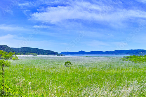 北海道釧路市、初夏の塘路湖と釧路湿原